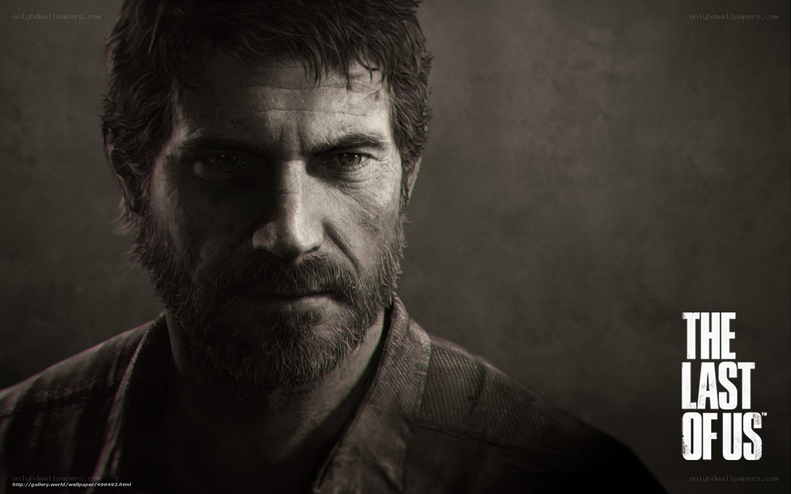 The Last of Us character portrait