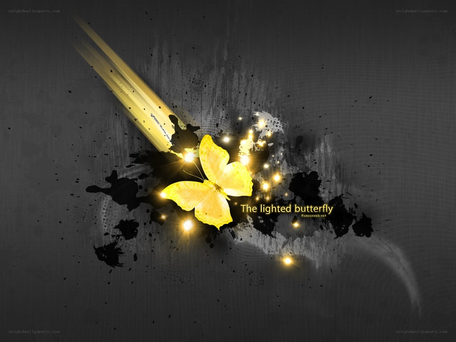 The lighted butterfly