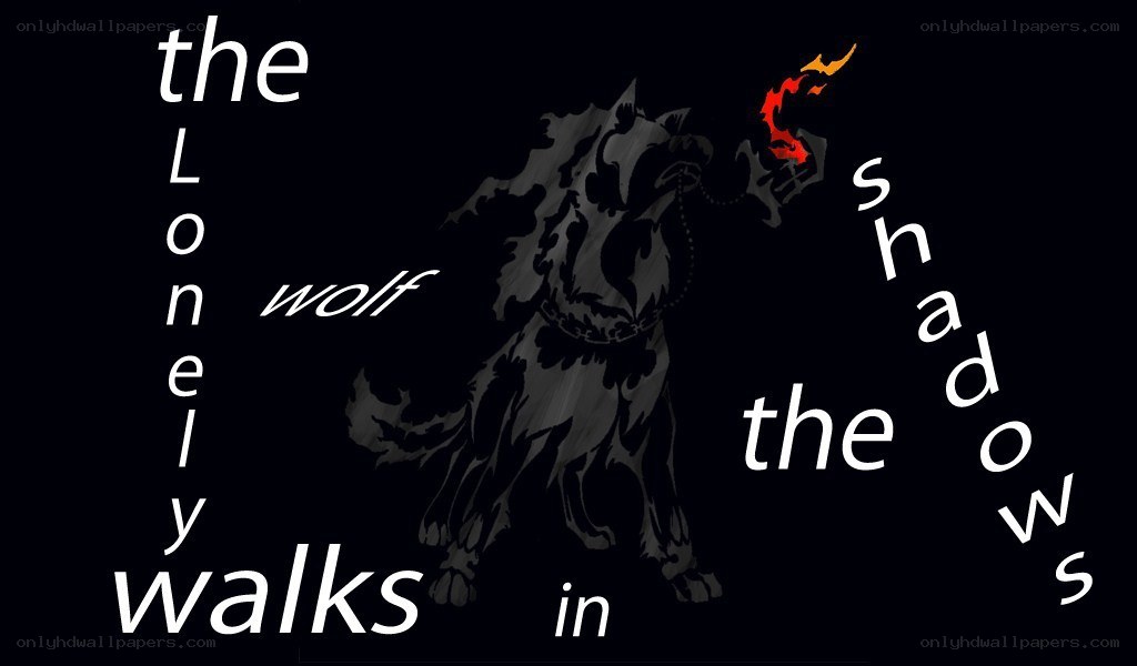the lonely wolf walks in the shadows