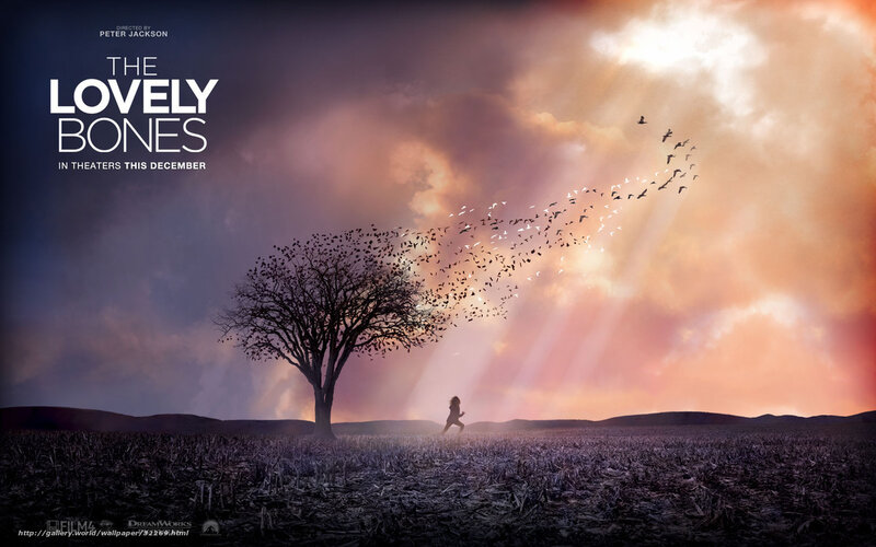 The Lovely Bones movie poster