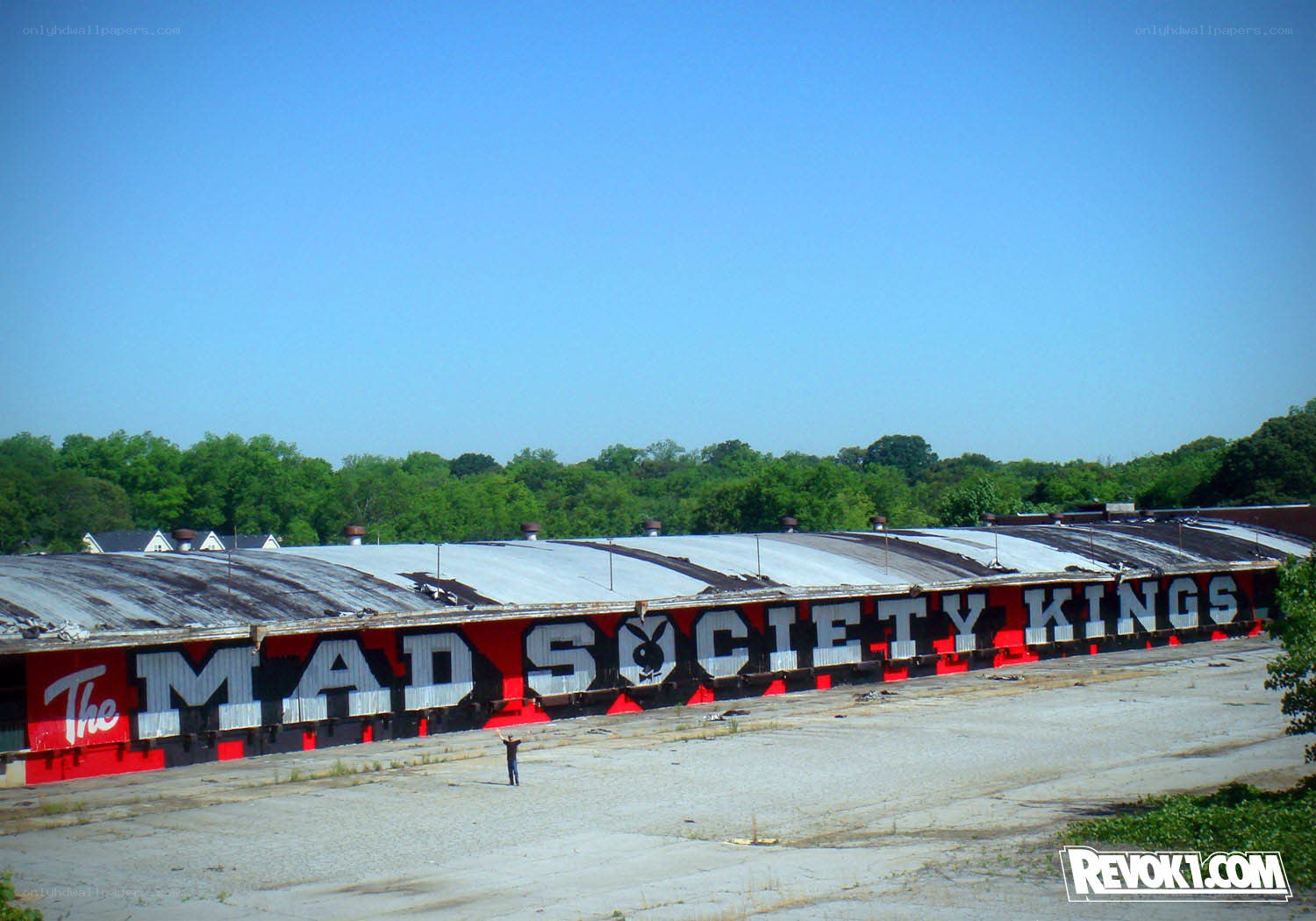 The Mad Society Kings building