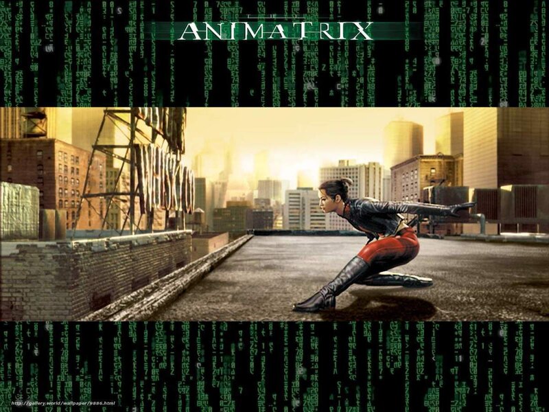 The Matrix action scene