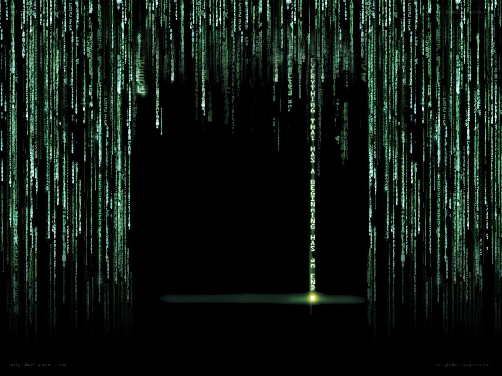The Matrix code rain