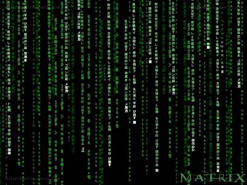 The Matrix digital rain