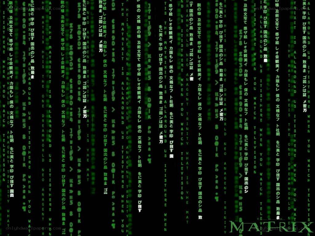The Matrix digital rain