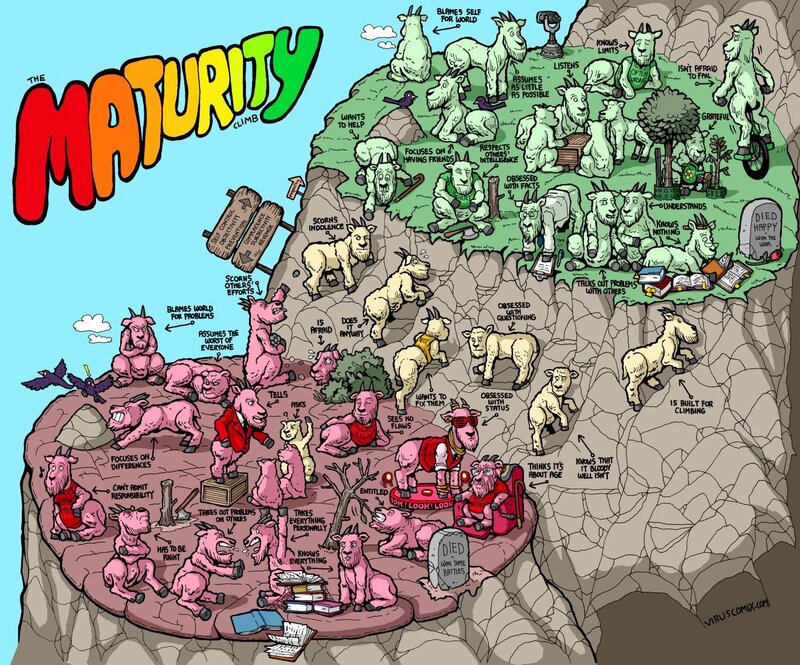 The Maturity Climb