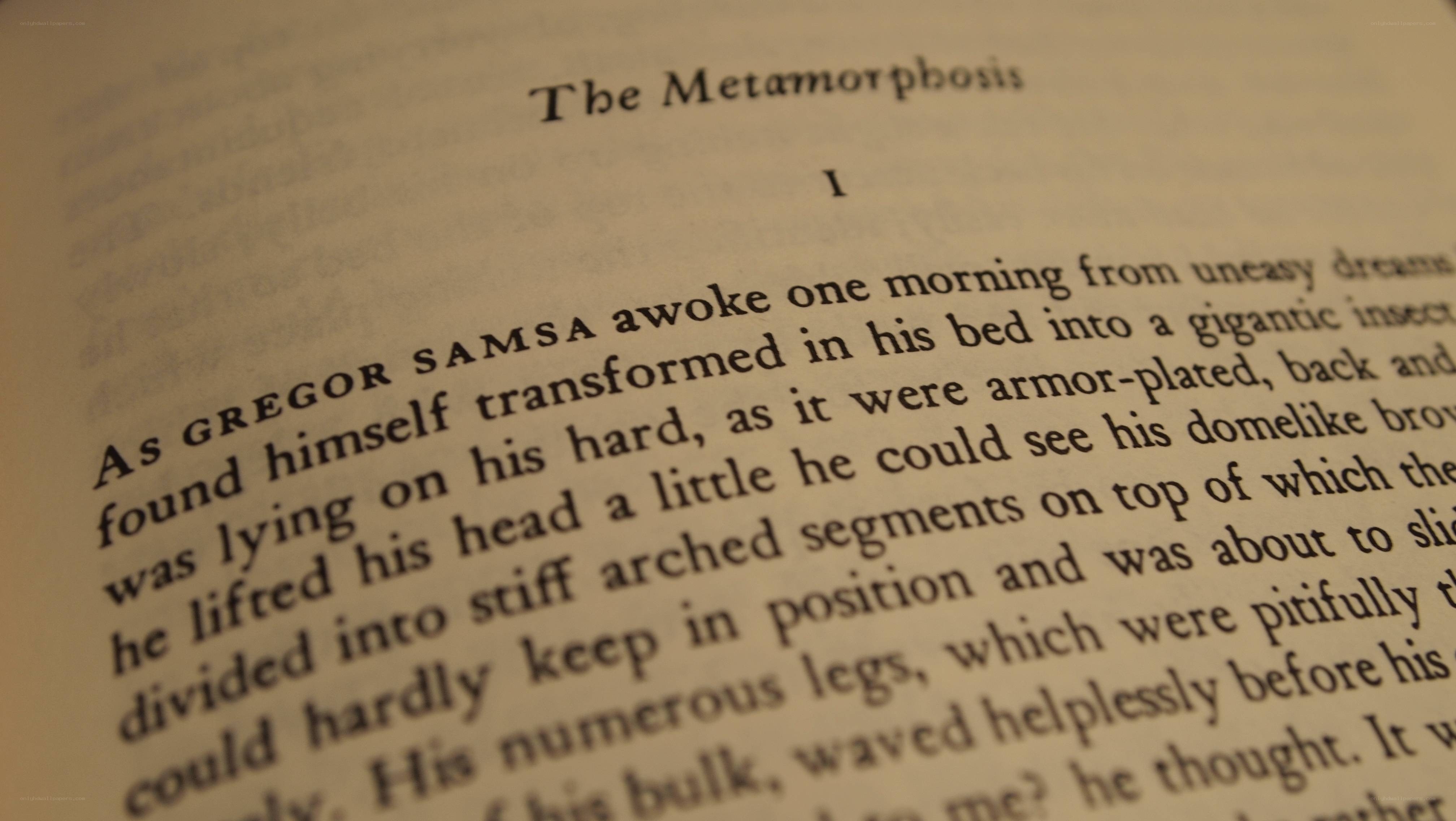 The Metamorphosis book page