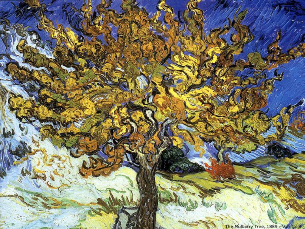 The Mulberry Tree