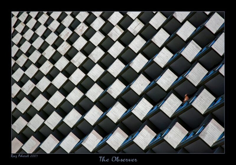 The Observer