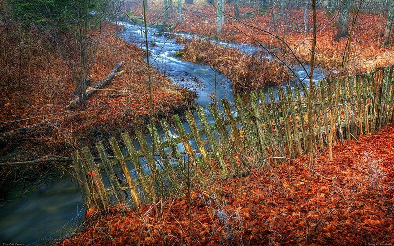 The Old Fence