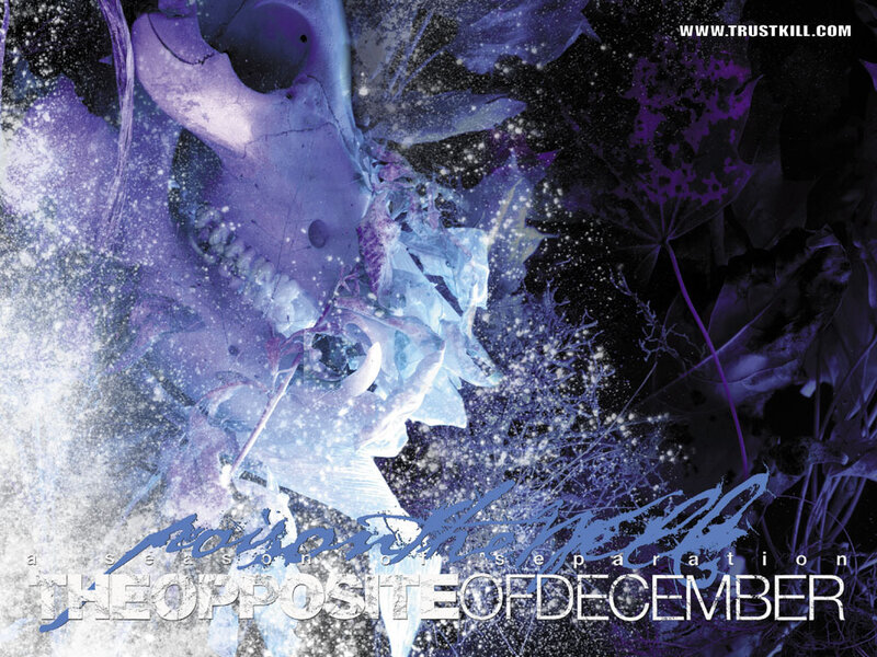 The Opposite of December album cover