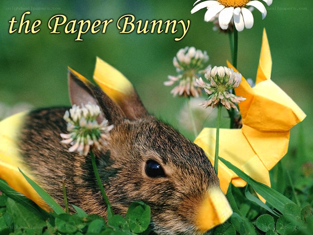 The Paper Bunny