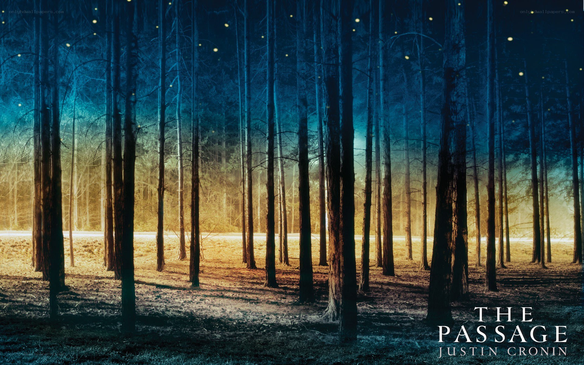 The Passage book cover