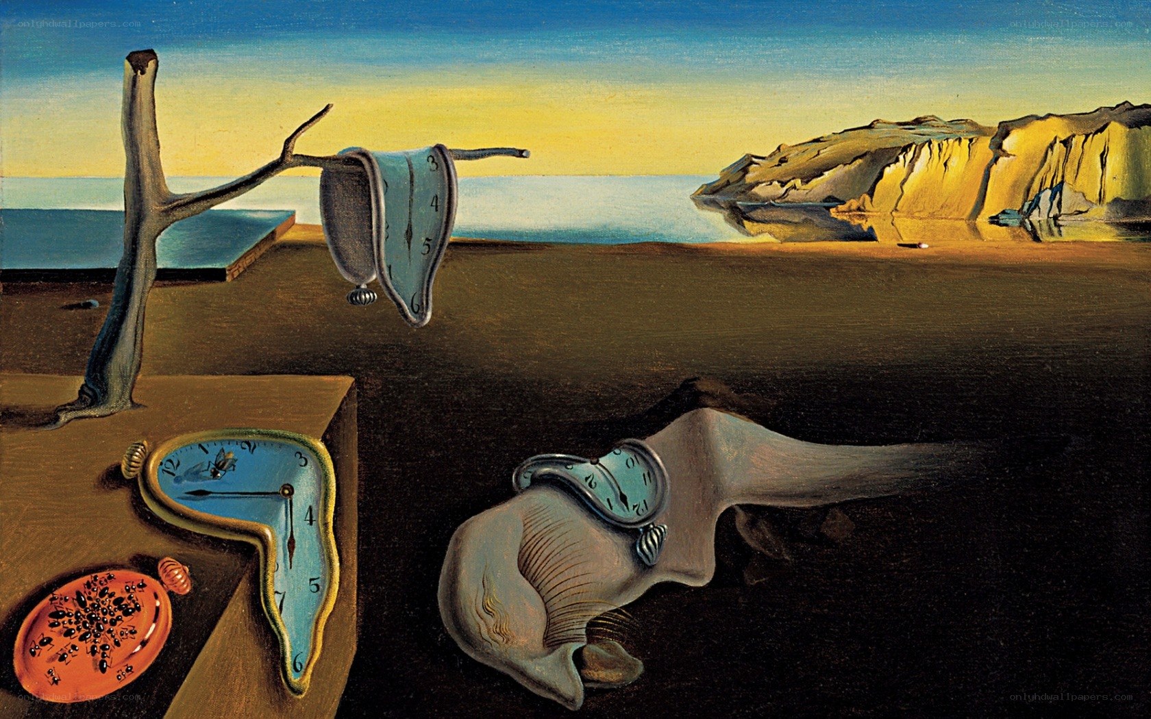 The Persistence of Memory