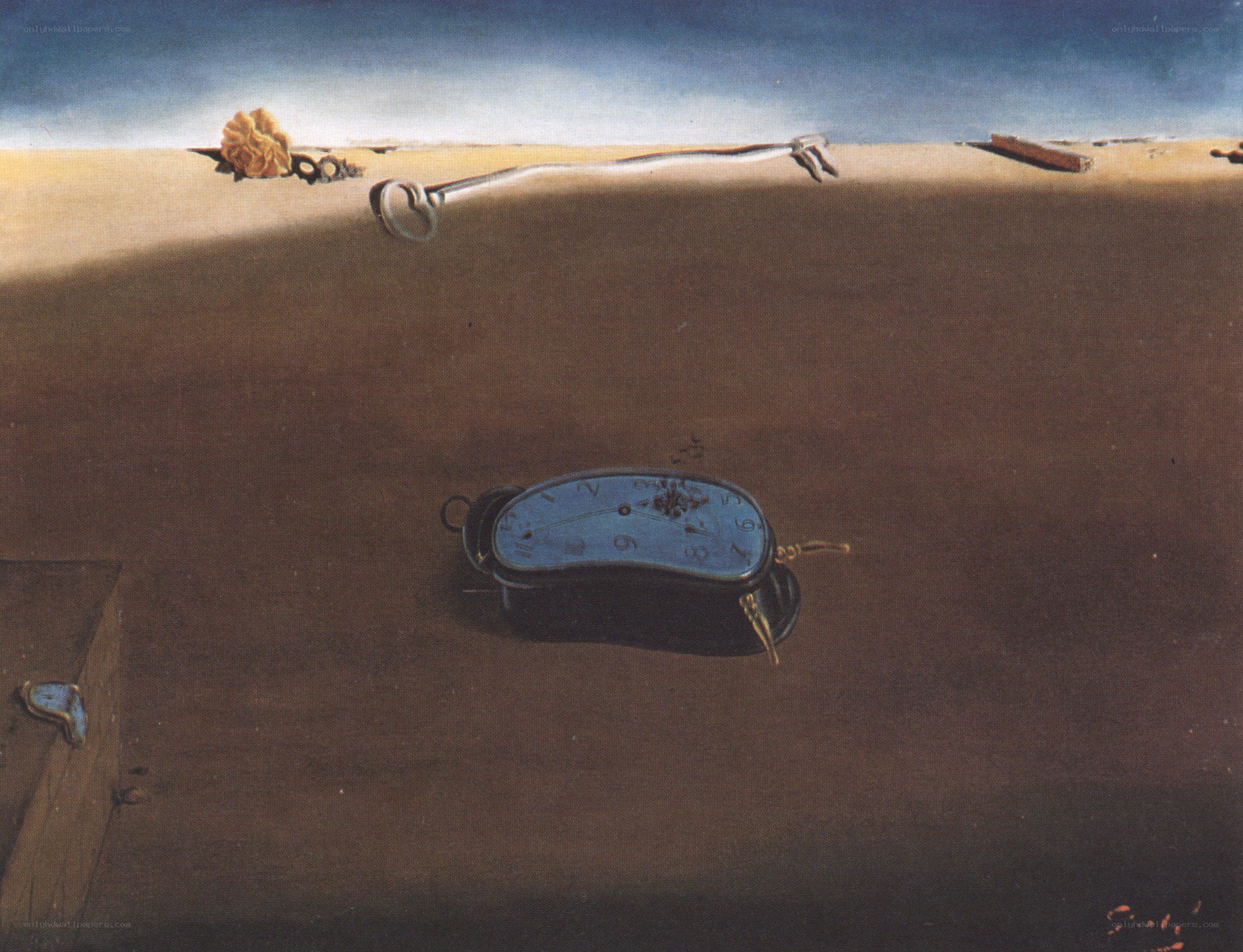 The Persistence of Memory