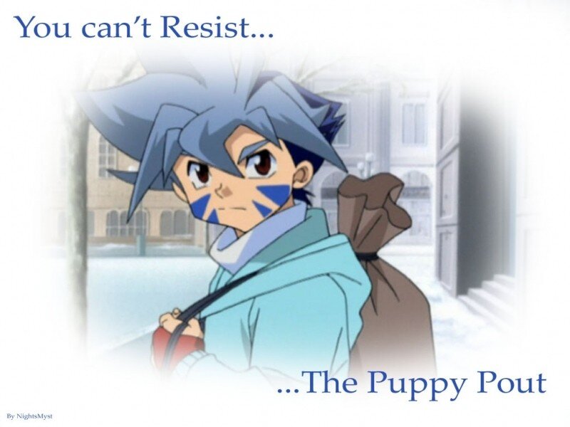 The Puppy Pout