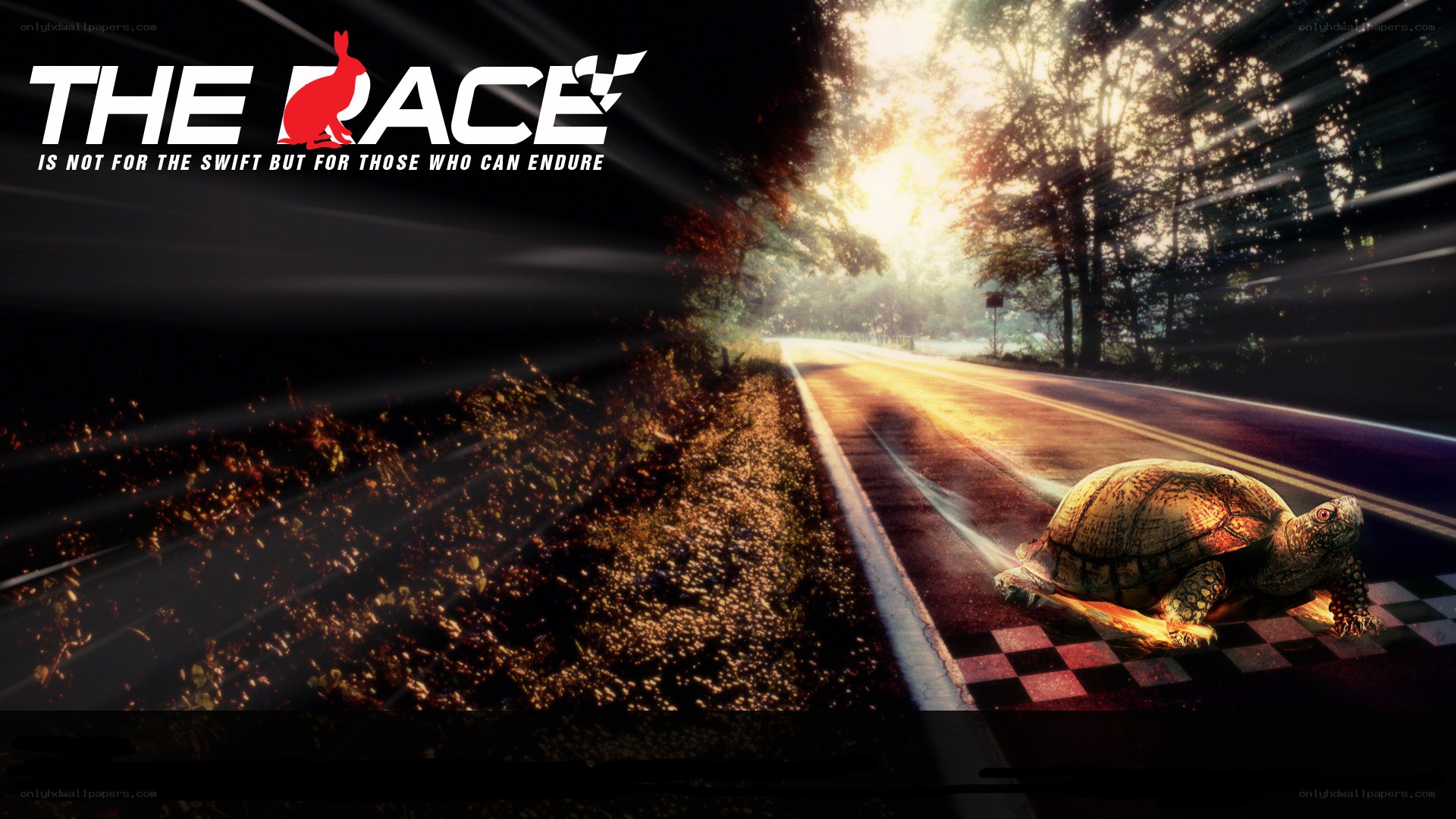 The Race: Endurance Over Speed