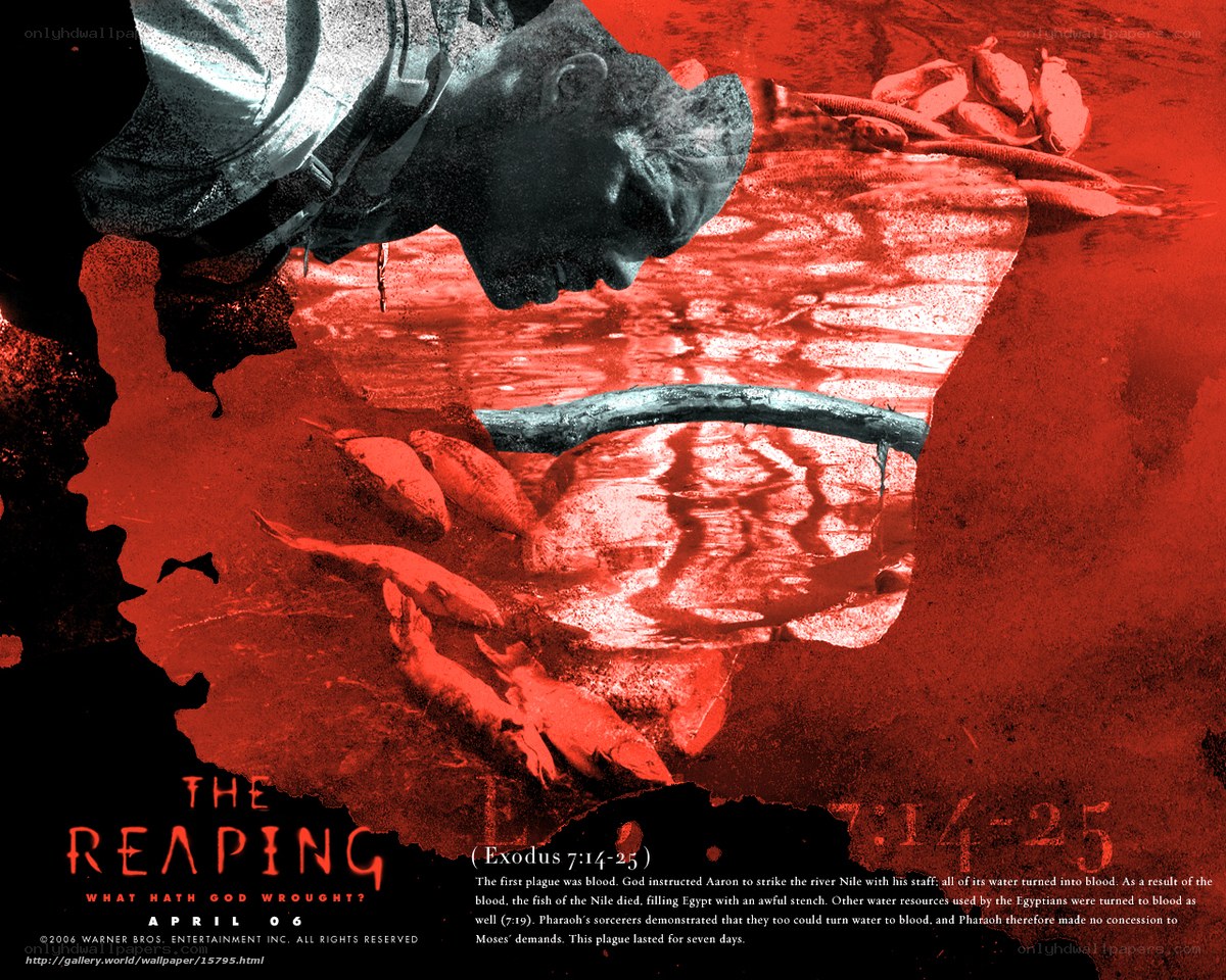 The Reaping movie poster