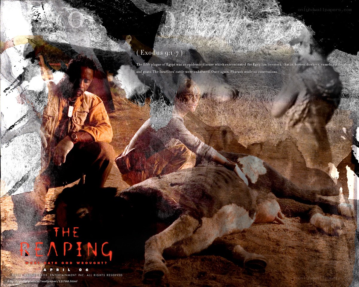 The Reaping movie poster