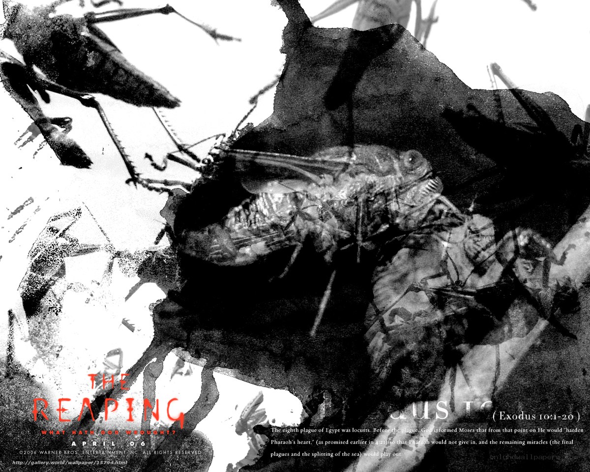 The Reaping movie poster