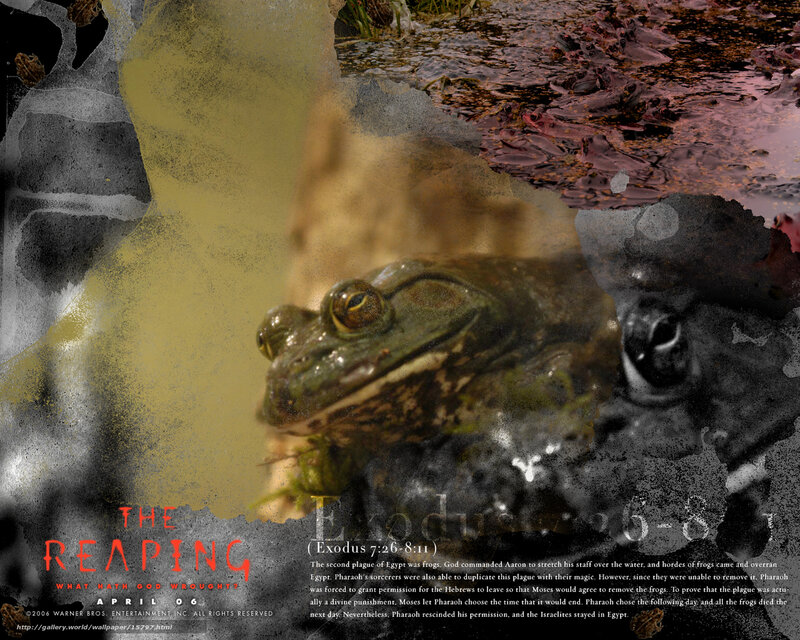 The Reaping: The Plague of Frogs