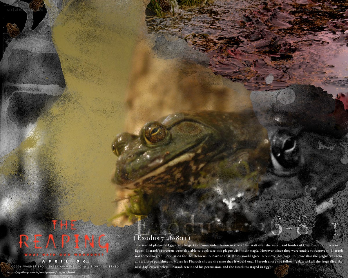 The Reaping: The Plague of Frogs