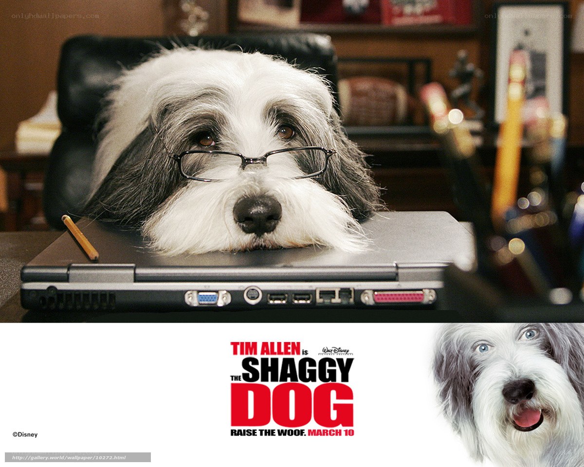 The Shaggy Dog movie poster