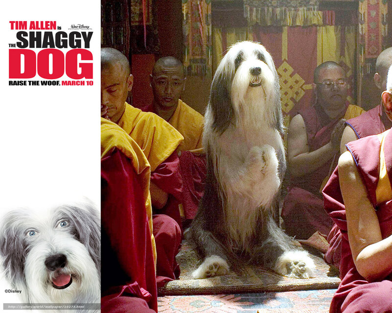 The Shaggy Dog movie poster