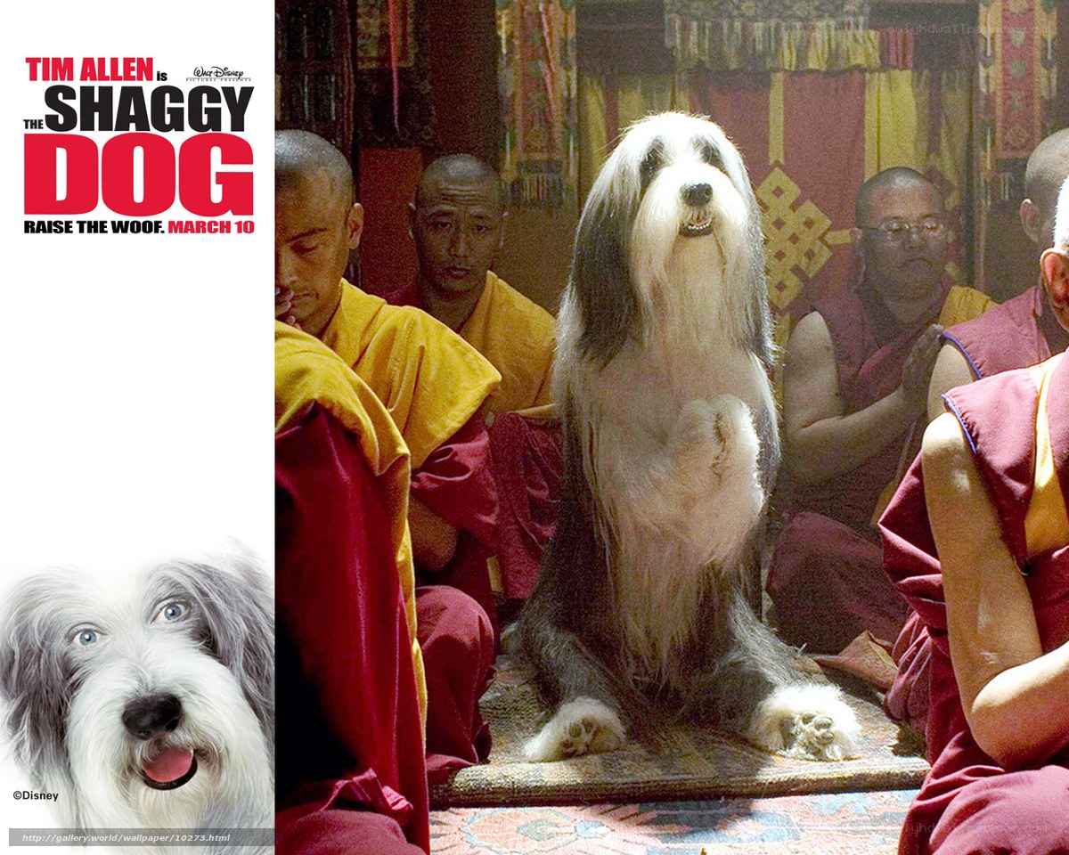 The Shaggy Dog movie poster
