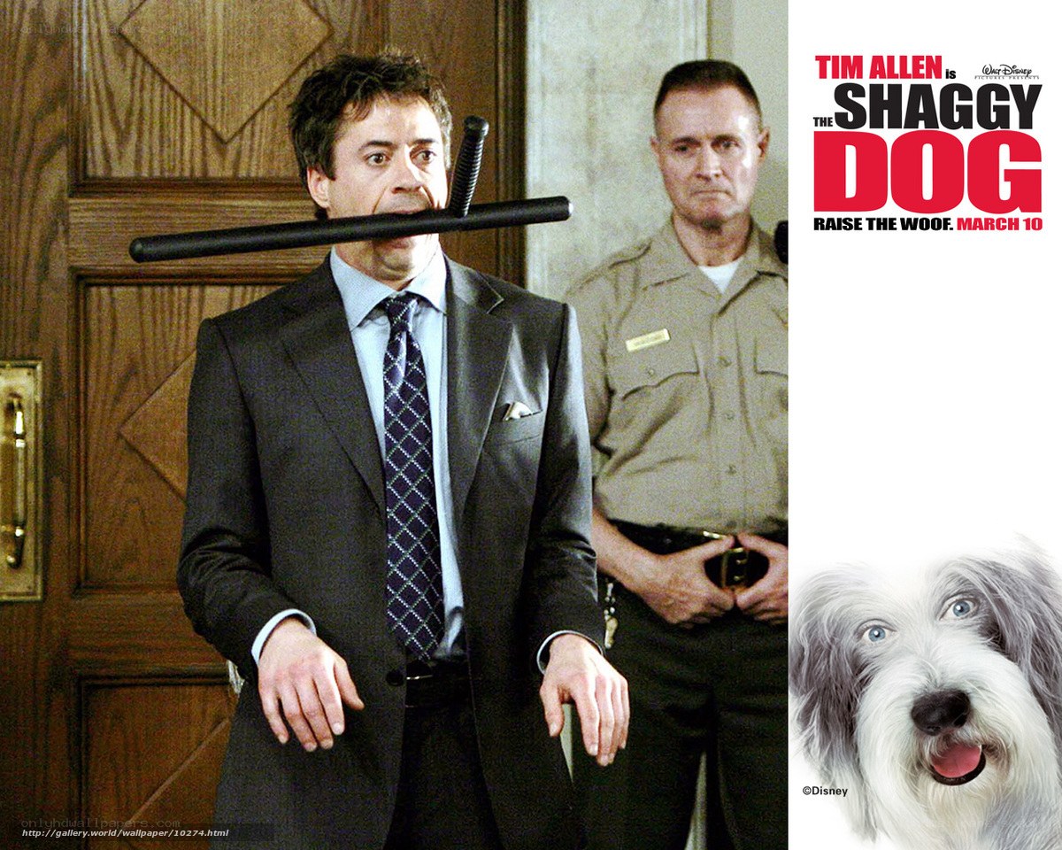 The Shaggy Dog movie poster