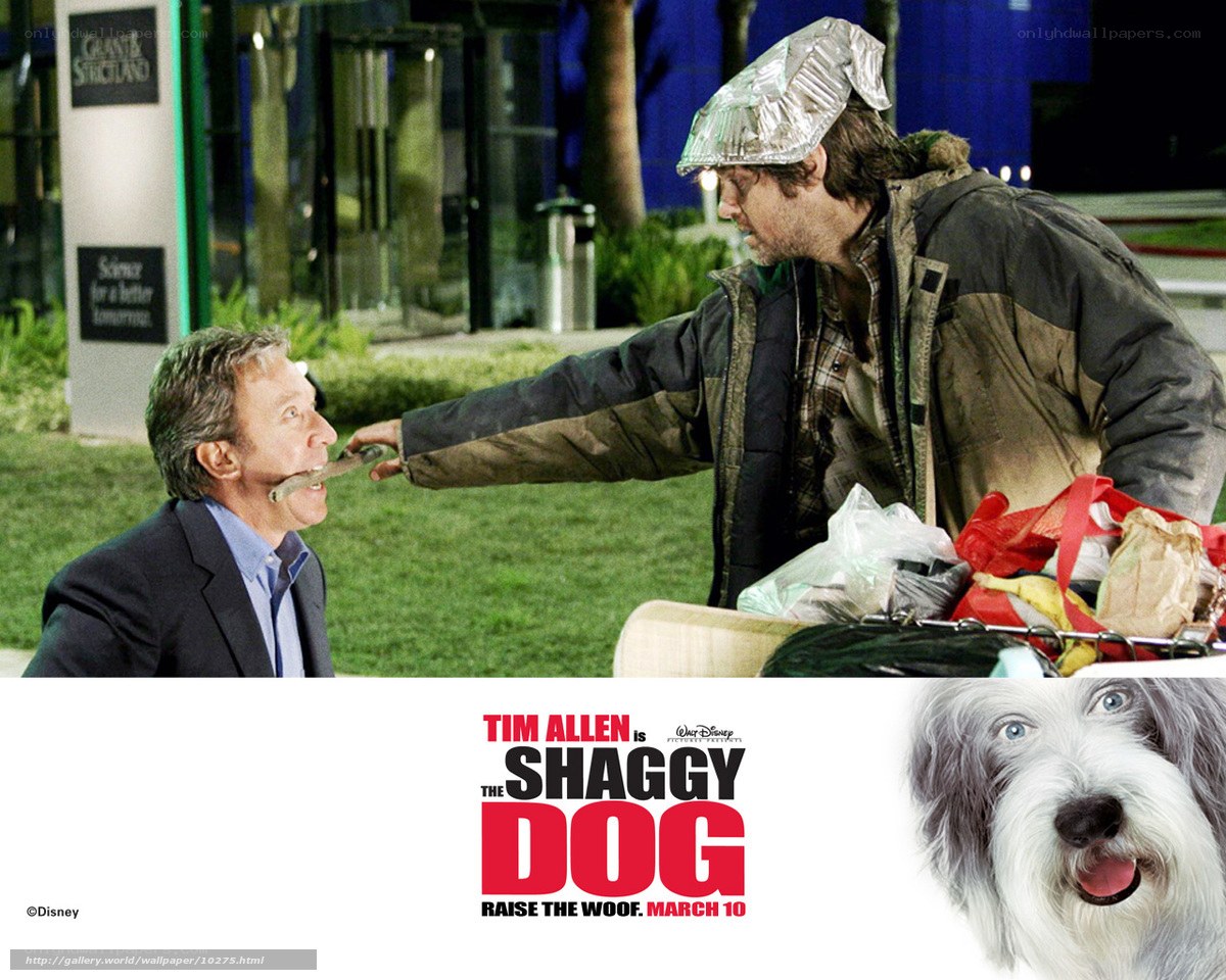 The Shaggy Dog movie poster