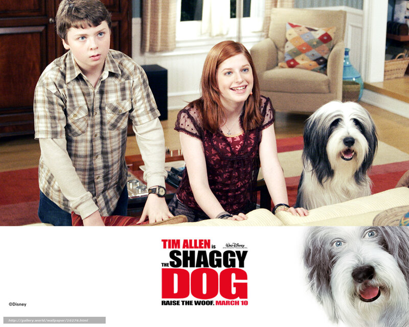 The Shaggy Dog movie poster