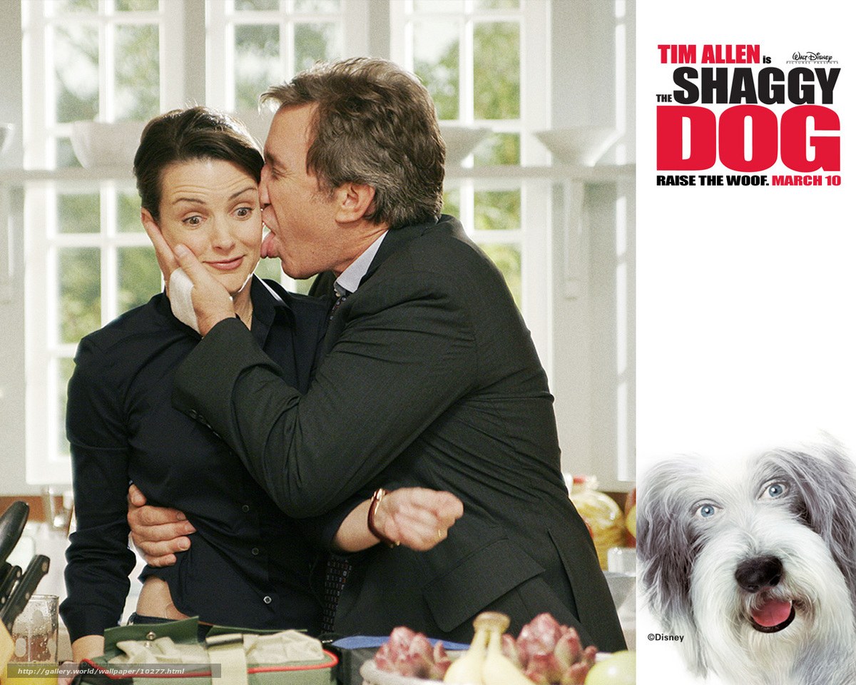 The Shaggy Dog movie poster