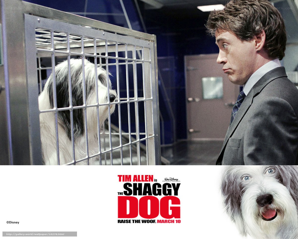 The Shaggy Dog movie poster