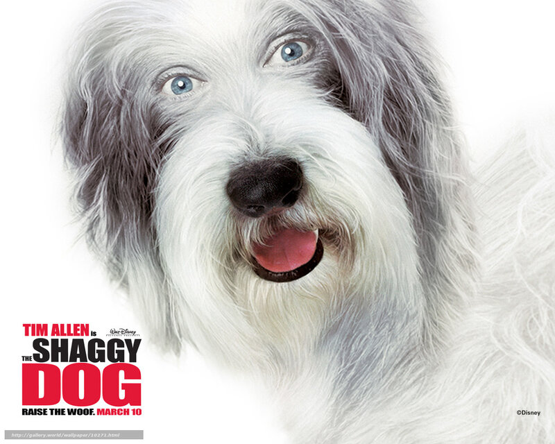 The Shaggy Dog movie poster