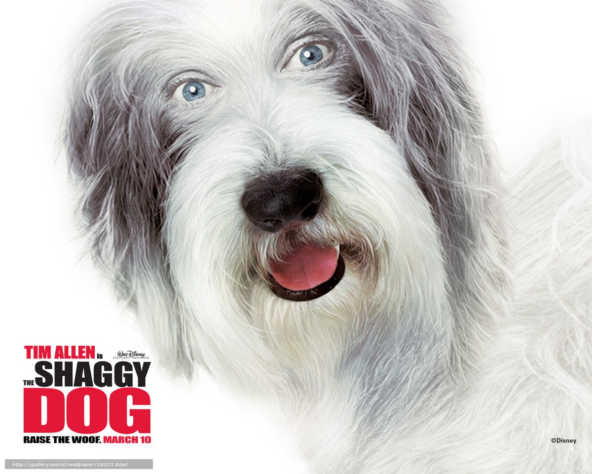 The Shaggy Dog movie poster