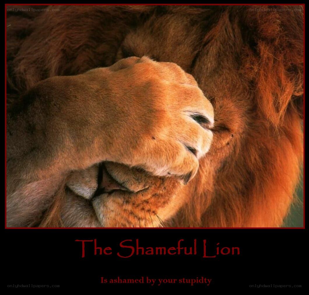 The Shameful Lion
