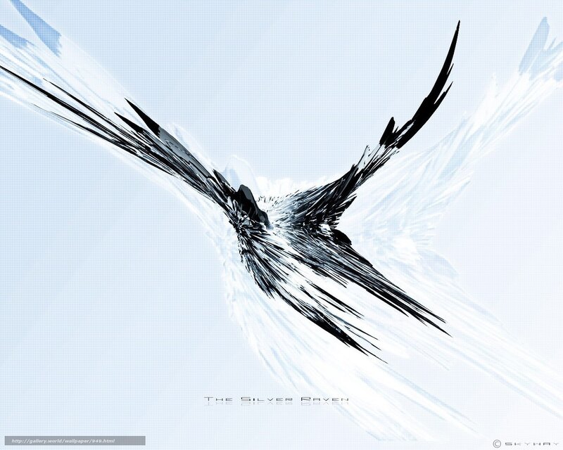 The Silver Raven