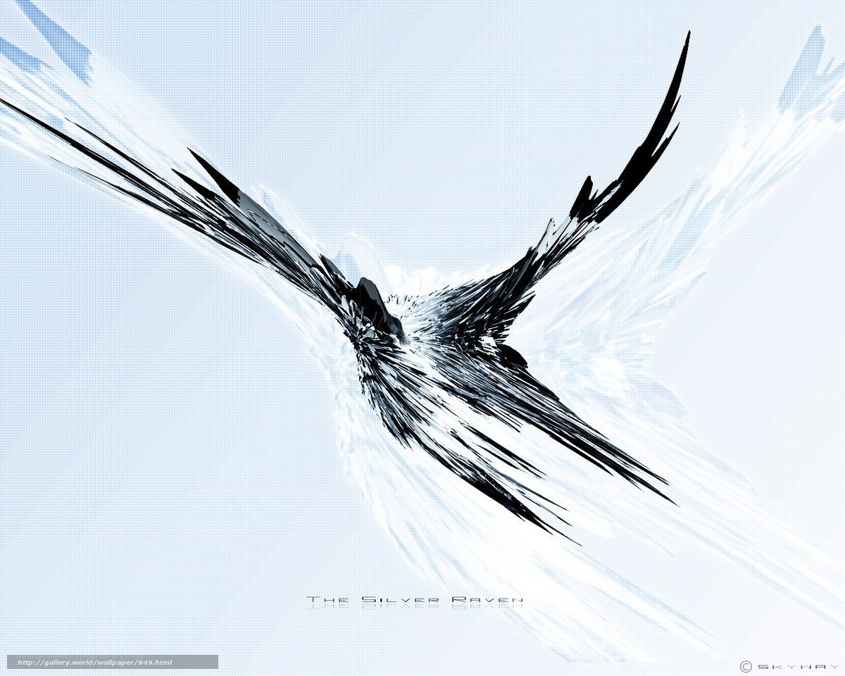 The Silver Raven