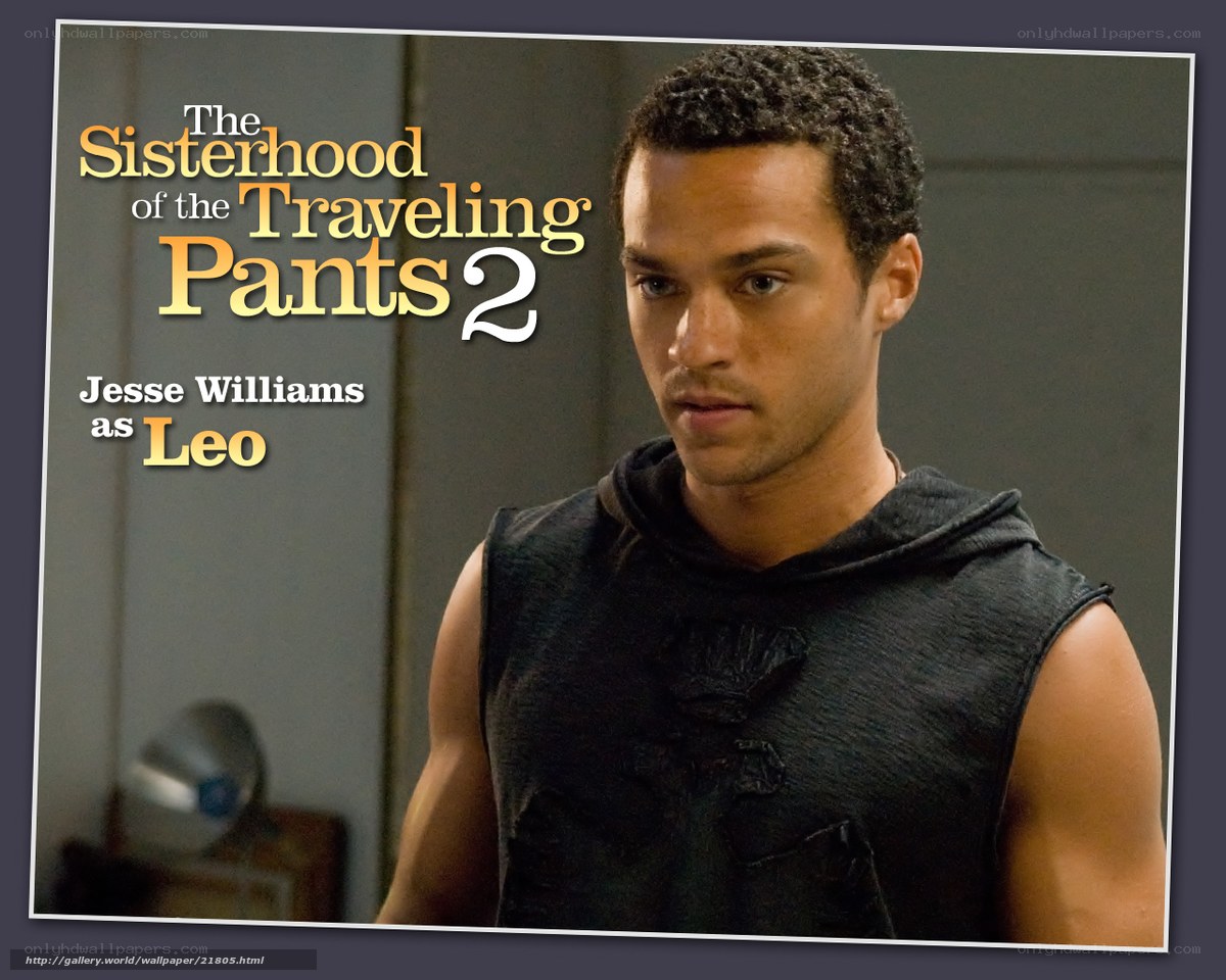 The Sisterhood of the Traveling Pants 2