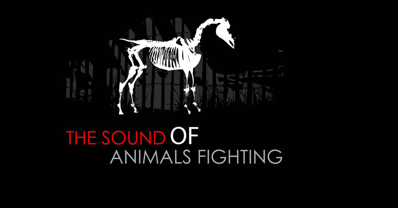 The Sound of Animals Fighting