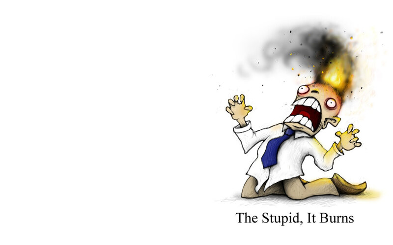 The Stupid, It Burns