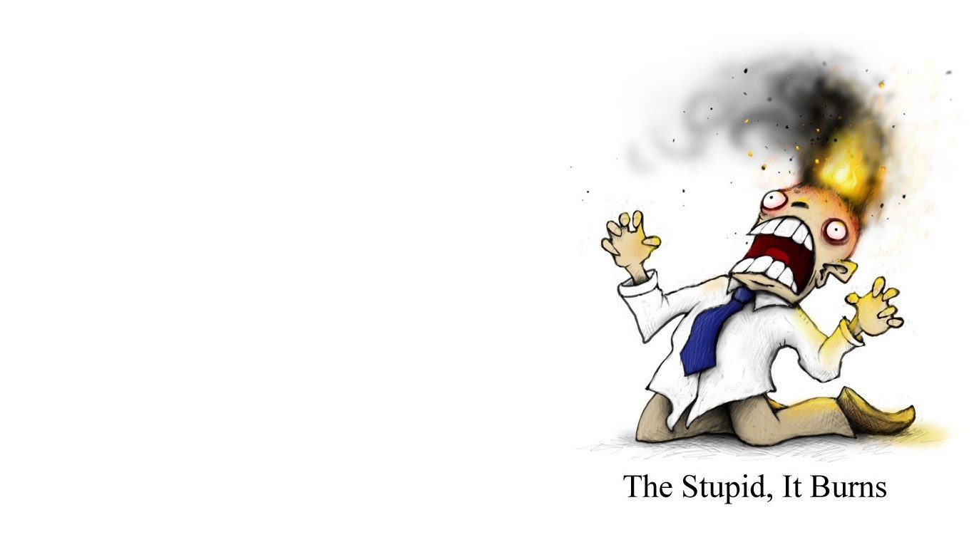The Stupid, It Burns