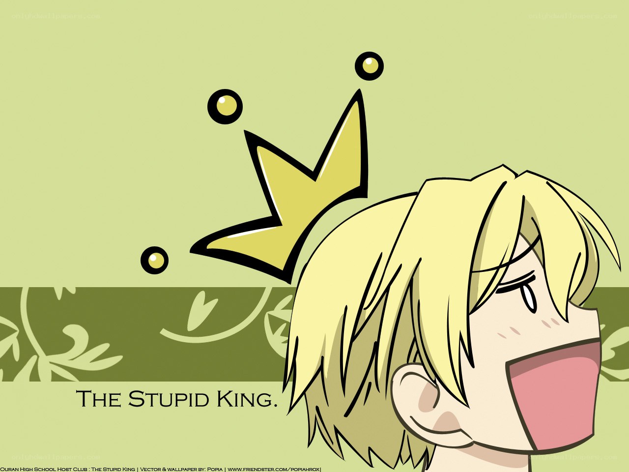 The Stupid King character