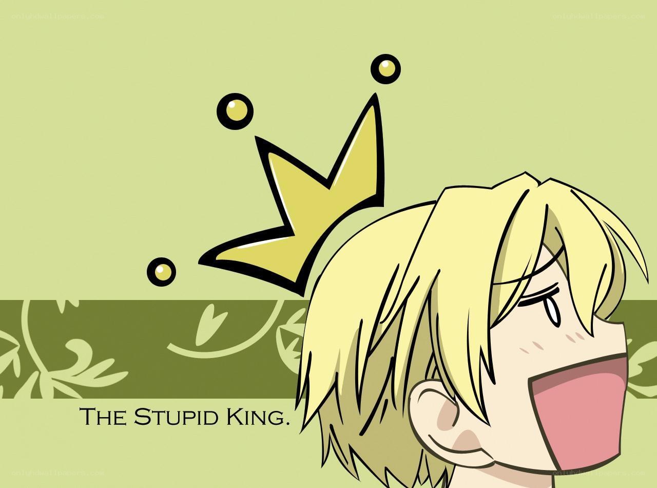 The Stupid King