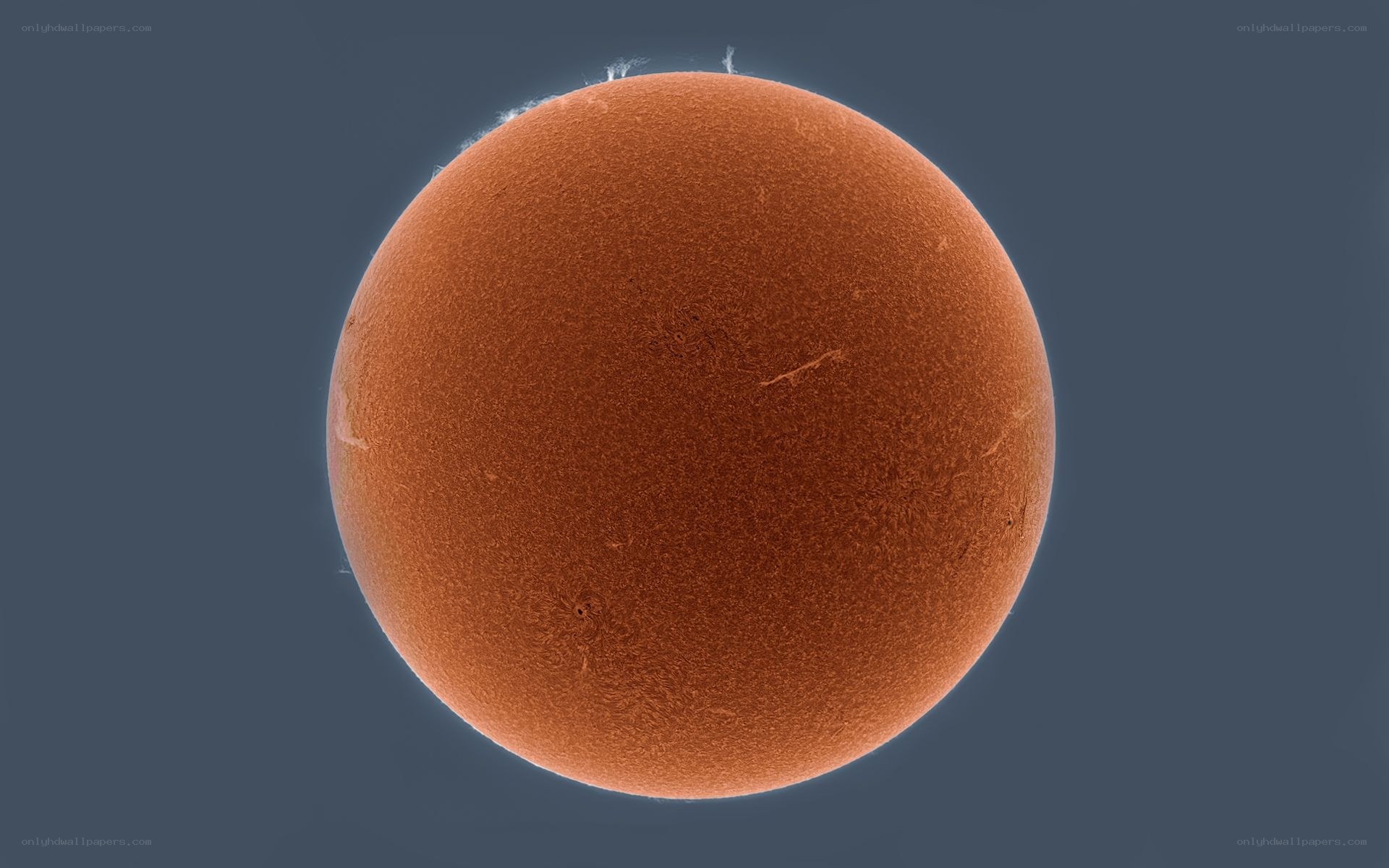The Sun in H-alpha