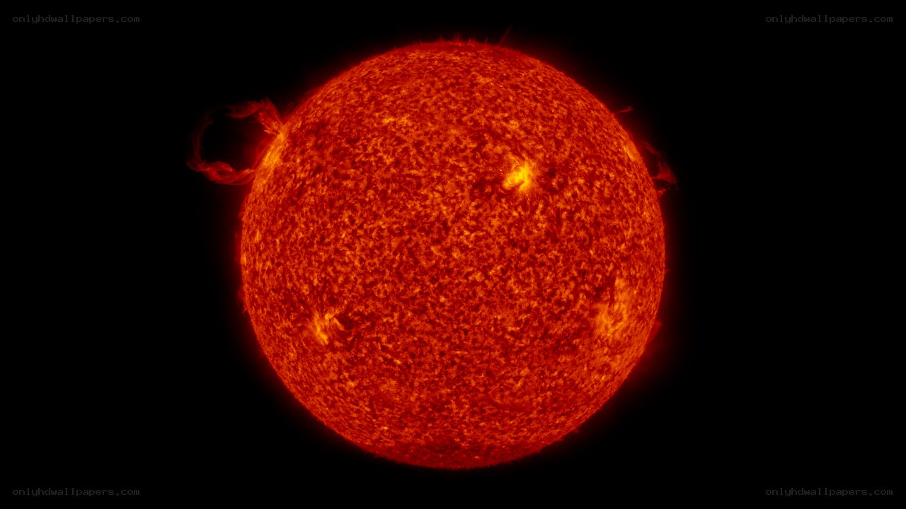 The Sun in Solar Flare Activity