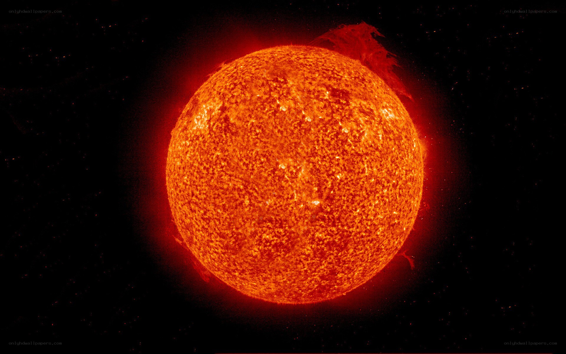 The Sun in Solar Flare Activity