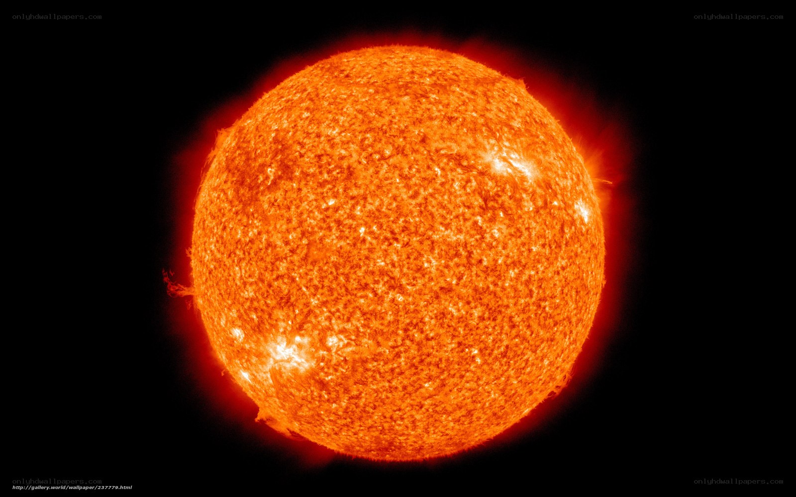 The Sun in Solar Flare Activity