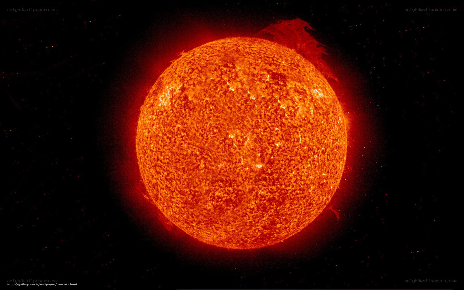 The Sun in Solar Flare